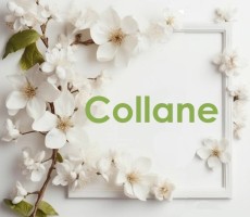 Collane