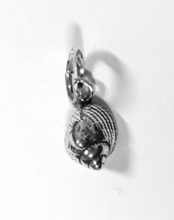 Charms - Mare - 10201 CONCHIGLIA LUMACHELLA - GIOVANNI RASPINI