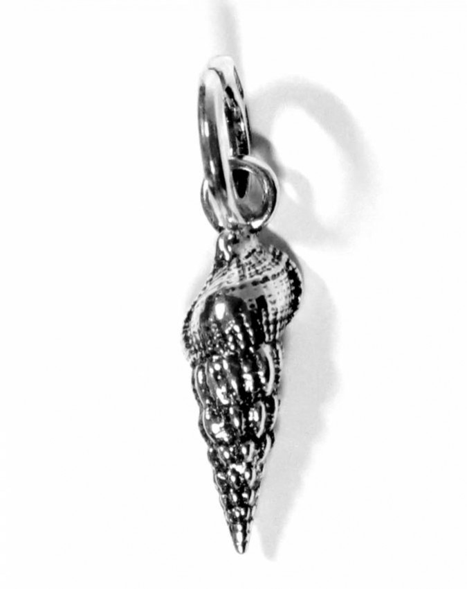 Charms - Mare - 10200 CONCHIGLIA TURRITELLA - GIOVANNI RASPINI