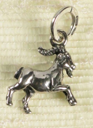 Charms - Zodiaco - 8620 CAPRICORNO GIOVANNI RASPINI