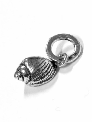 Charms - Mare - 10201 CONCHIGLIA LUMACHELLA - GIOVANNI RASPINI