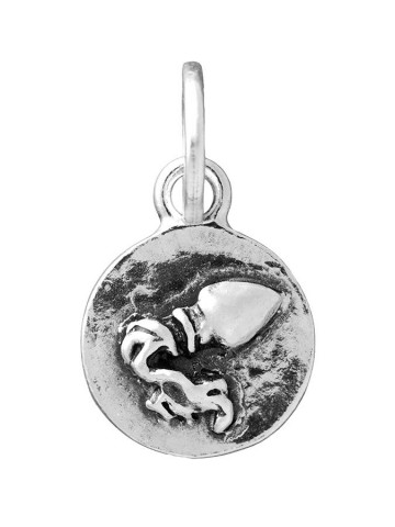 Charms - Zodiaco - 11834 CHARM ACQUARIO ZODIACO GIOVANNI RASPINI